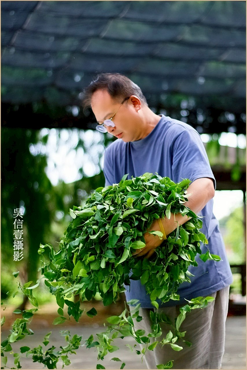 在茶香裡綻放-自己的有機香草茶創作計畫