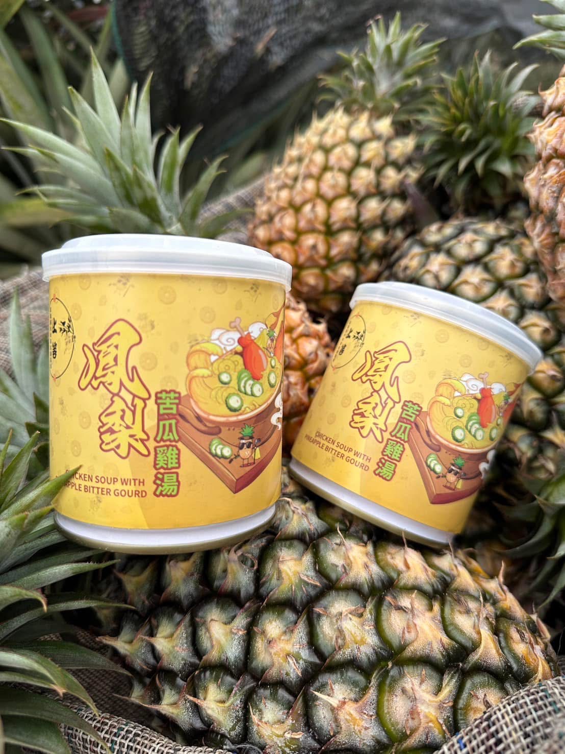 鳳梨苦瓜雞湯