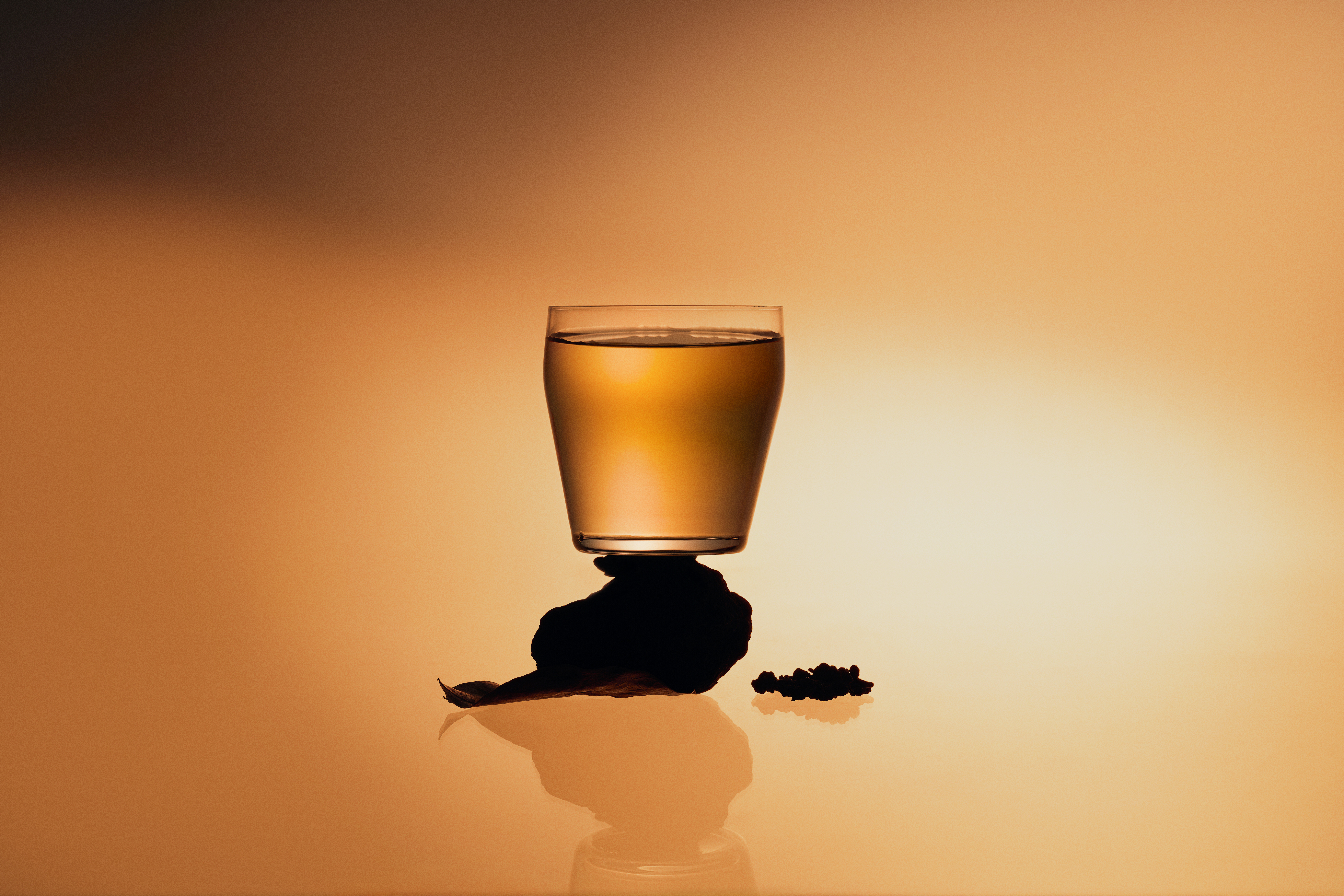 曦星品茶焙香烏龍:溫柔對待土地的方式 - SISIL曦星品茶 產品故事