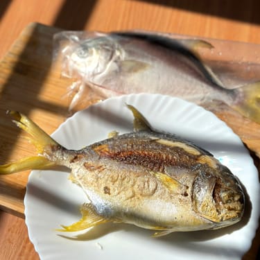 在地東石 友善養殖 三去富貴黃金鯧